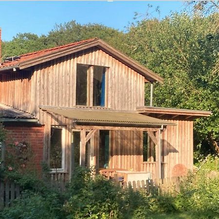 Natur Kunst Ferienhaus Neu Darchau Экстерьер фото