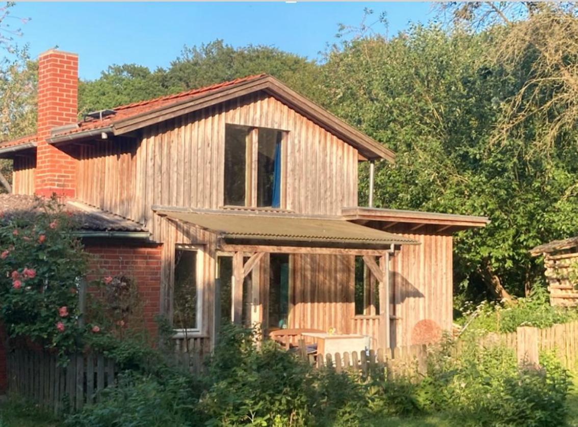 Natur Kunst Ferienhaus Neu Darchau Экстерьер фото
